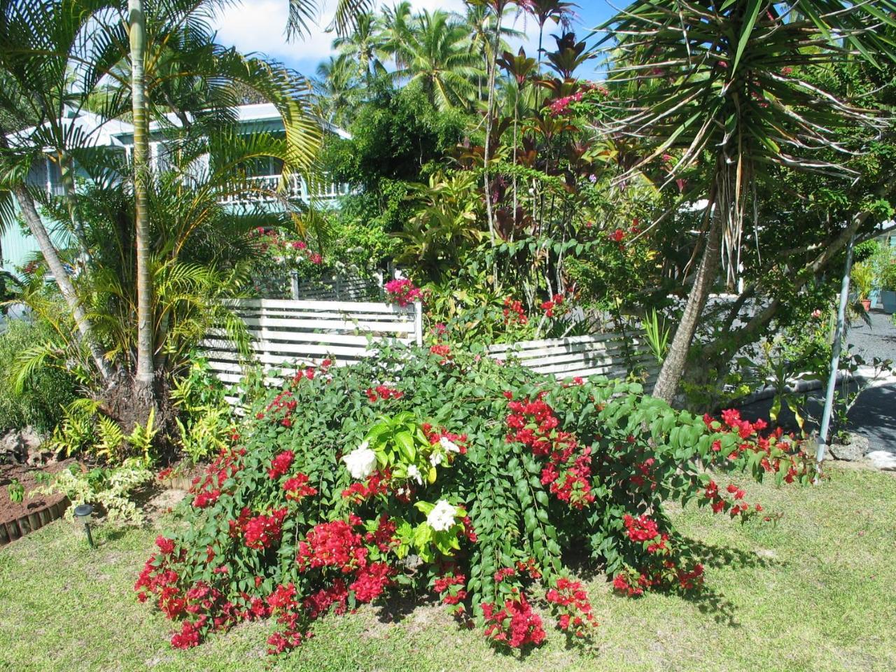 Sunhaven Beach Bungalows (Adults Only) Rarotonga Exterior foto